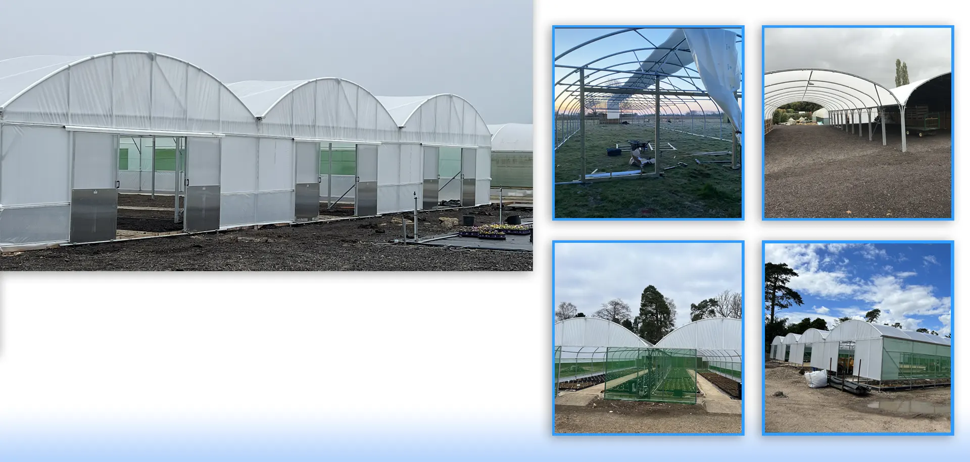 commercial-polytunnels