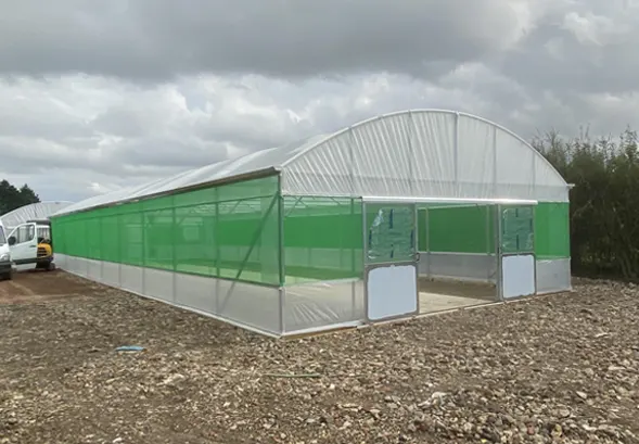 Domestic Polytunnels