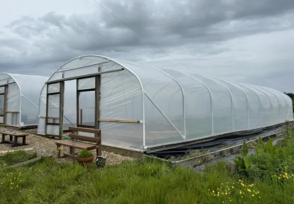 Commercial Polytunnels