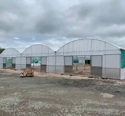 garden polytunnels