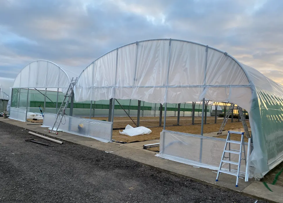 polytunnels Cover